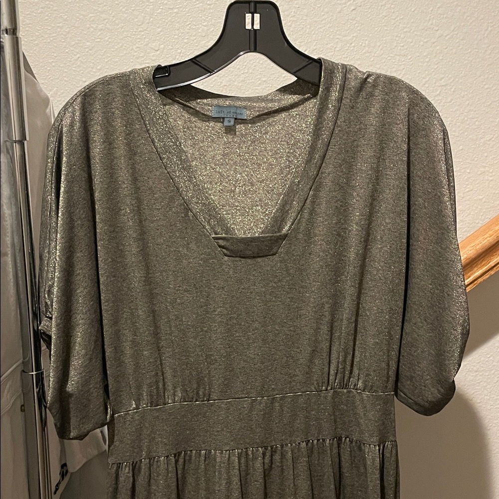 Shimmering Dress